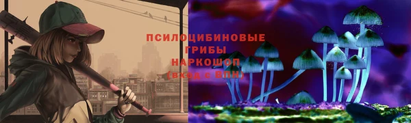 spice Алексин
